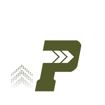 Life Prep Athletic Academy Logo